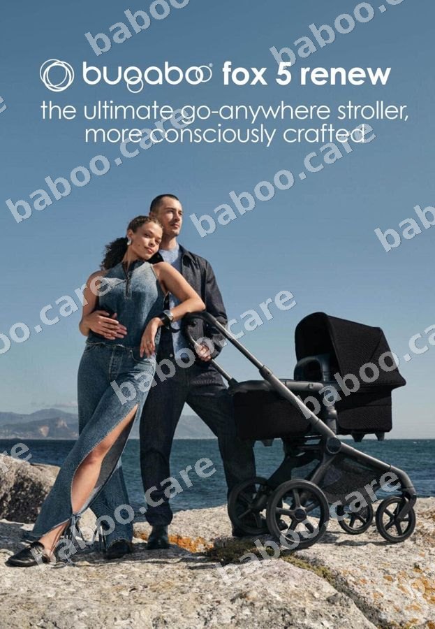 Bugaboo view 5
