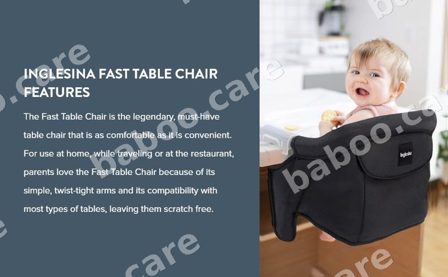 Inglesina Inglesina Fast Table Chair — baby & kids product
