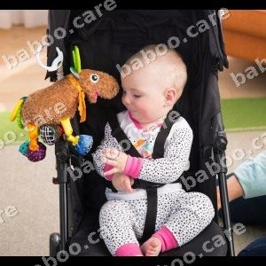 Lamaze view 4
