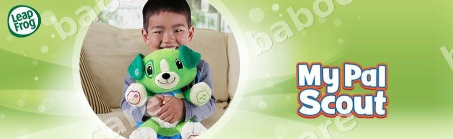 LeapFrog view 3