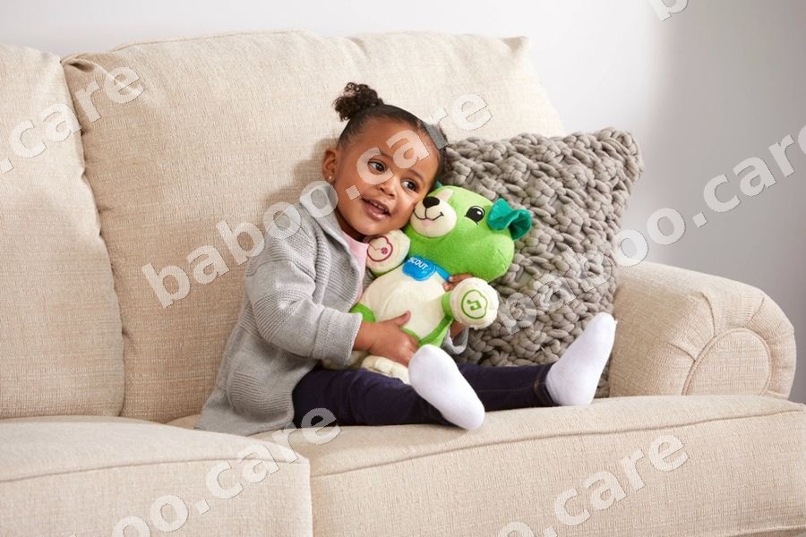 LeapFrog view 4
